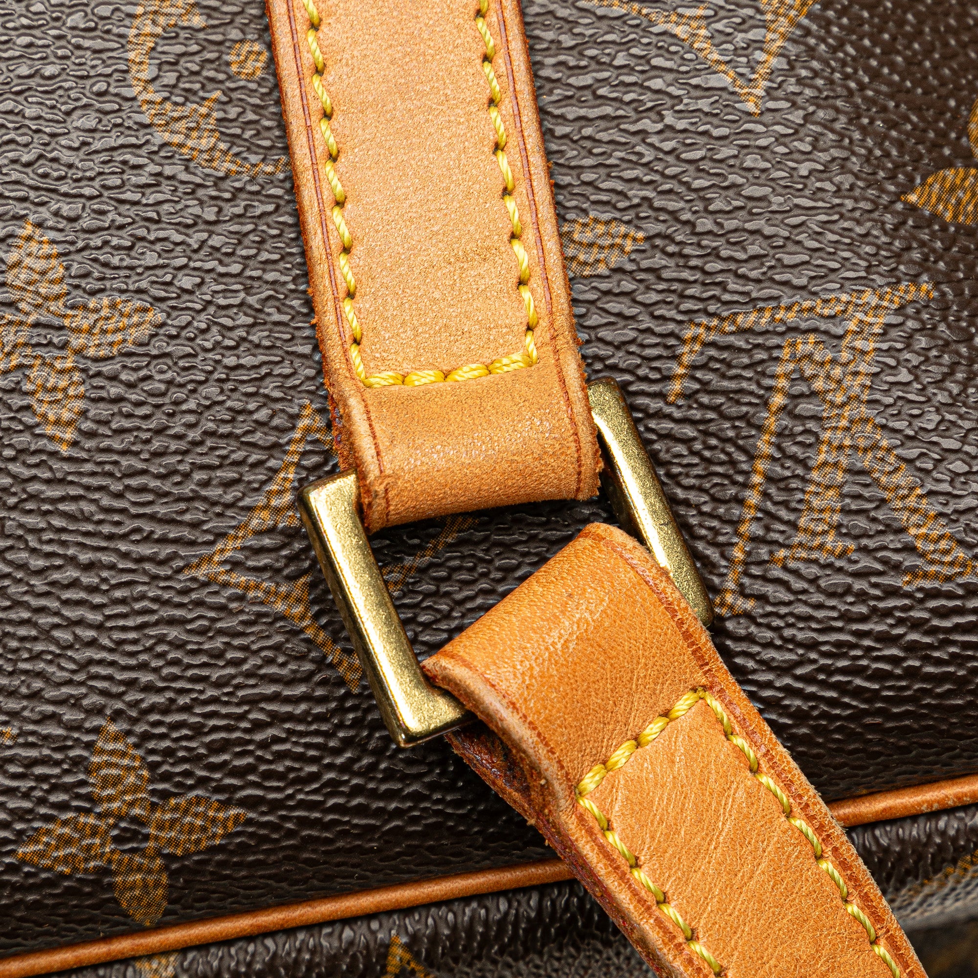 Louis Vuitton Monogram Cite GM