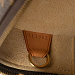 Louis Vuitton Monogram Cite GM