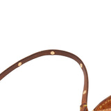 Louis Vuitton Multicolore Pochette Accessoires