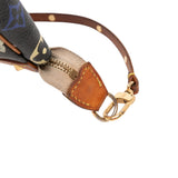 Louis Vuitton Multicolore Pochette Accessoires