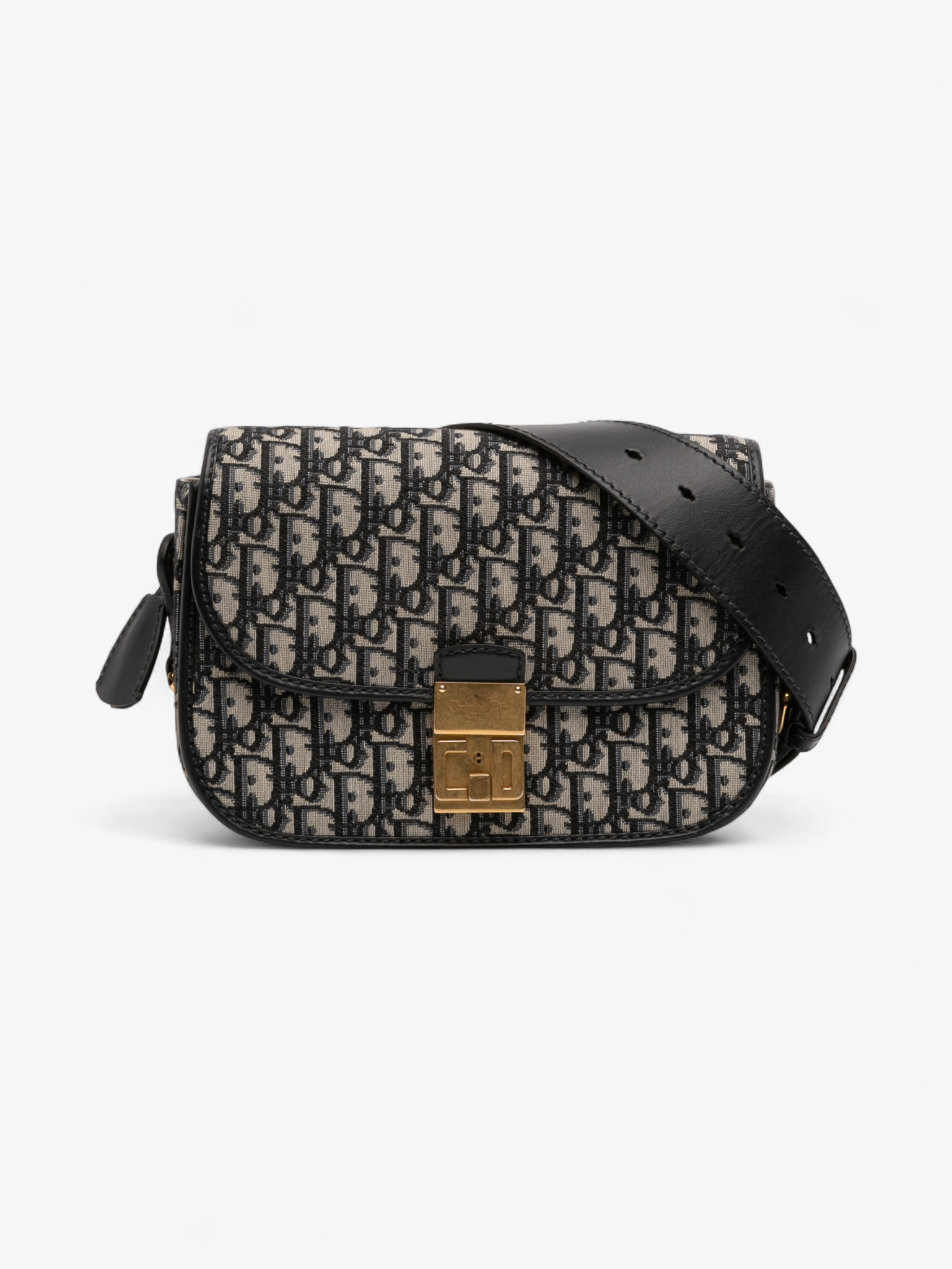 black and white dior oblique canvas