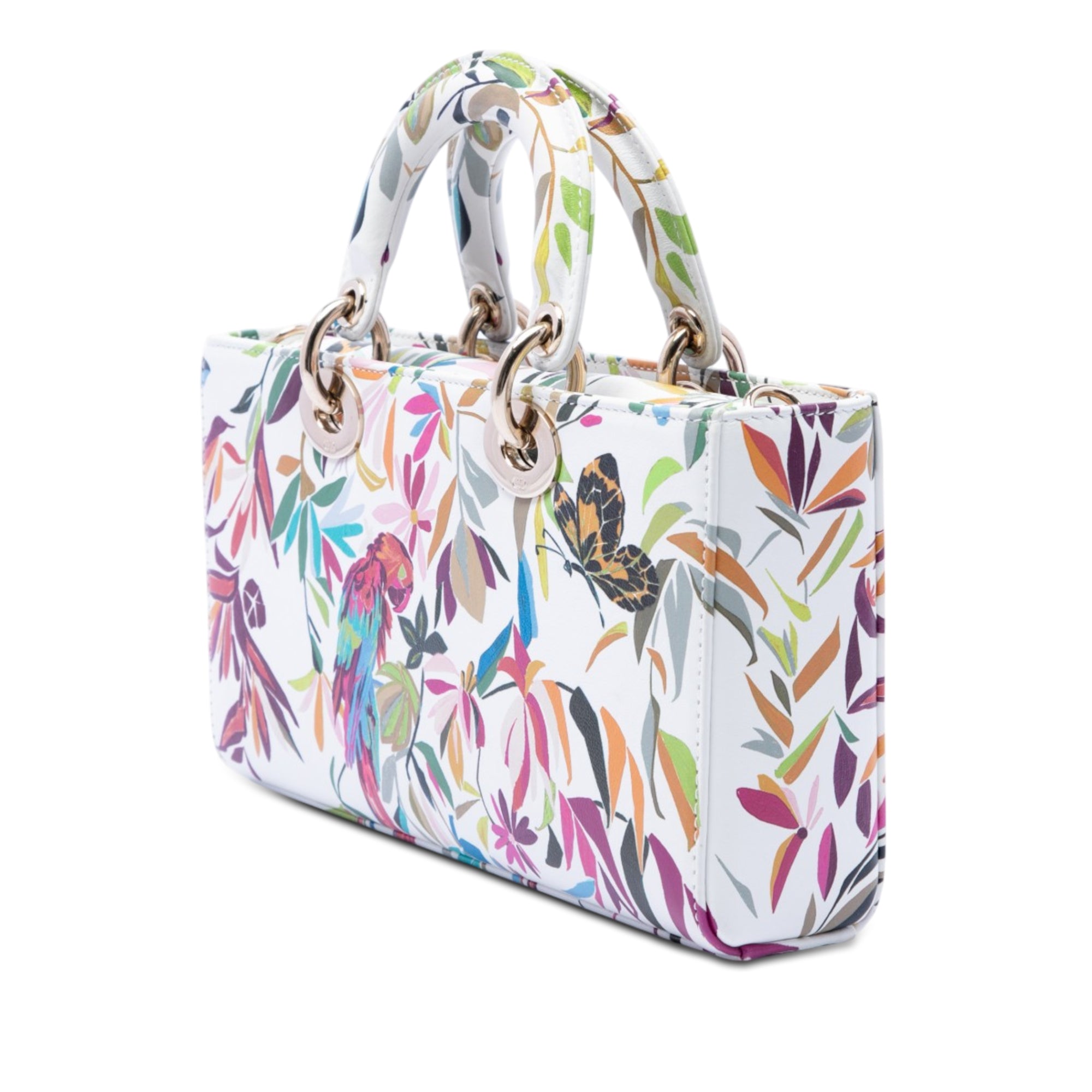 ティティ Dior Medium Calfskin Fantastica Lady D Joy – ReLuxe Room