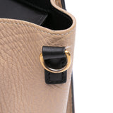 Celine Nano Tricolor Leather Luggage