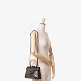 Goyard Mini Goyardine Saigon Souple