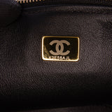 Chanel Quilted Lambskin Trendy CC Vanity Case