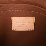 Louis Vuitton Monogram Multi Pochette Accessoires