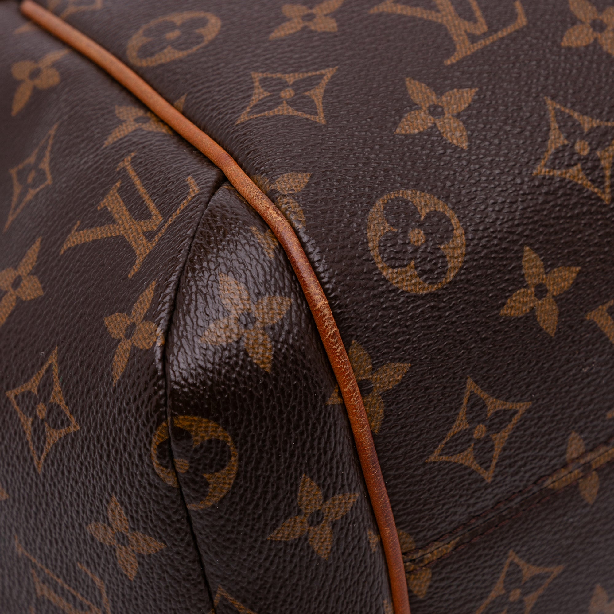 Louis Vuitton Monogram Totally PM