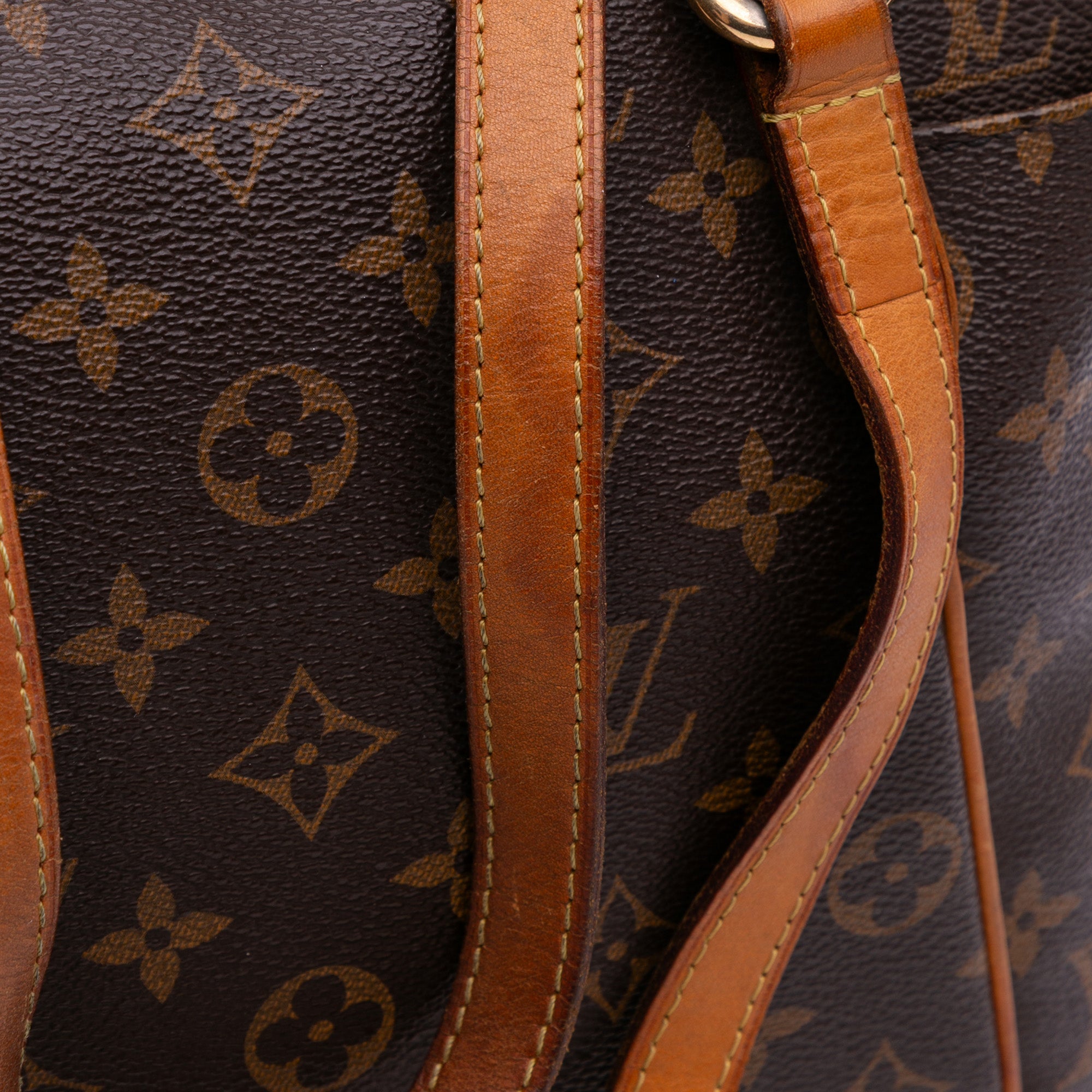 Louis Vuitton Monogram Totally PM