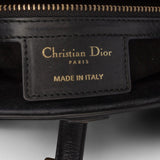 Dior Smooth Calfskin Saddle Bag